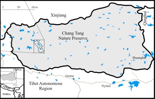 The Tibetan Plateau supports several threatened endemic species, the survival of which depends on protection within the Chang Tang Nature Preserve.